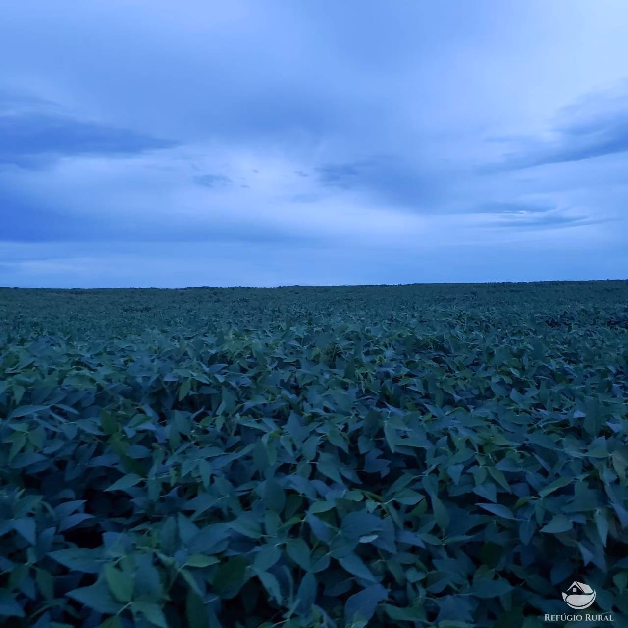 Farm of 9,318 acres in Rosário Oeste, MT, Brazil