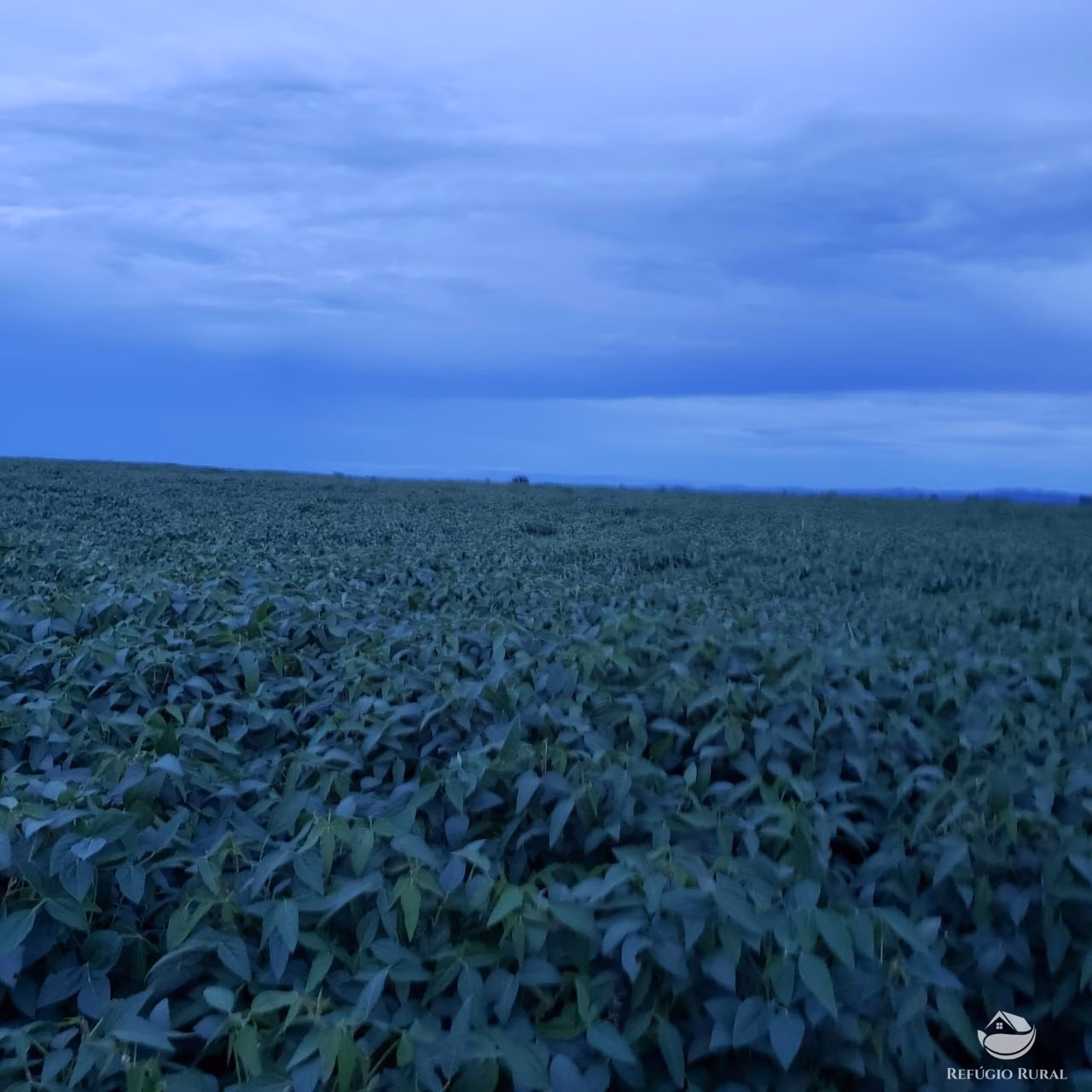 Farm of 9,318 acres in Rosário Oeste, MT, Brazil