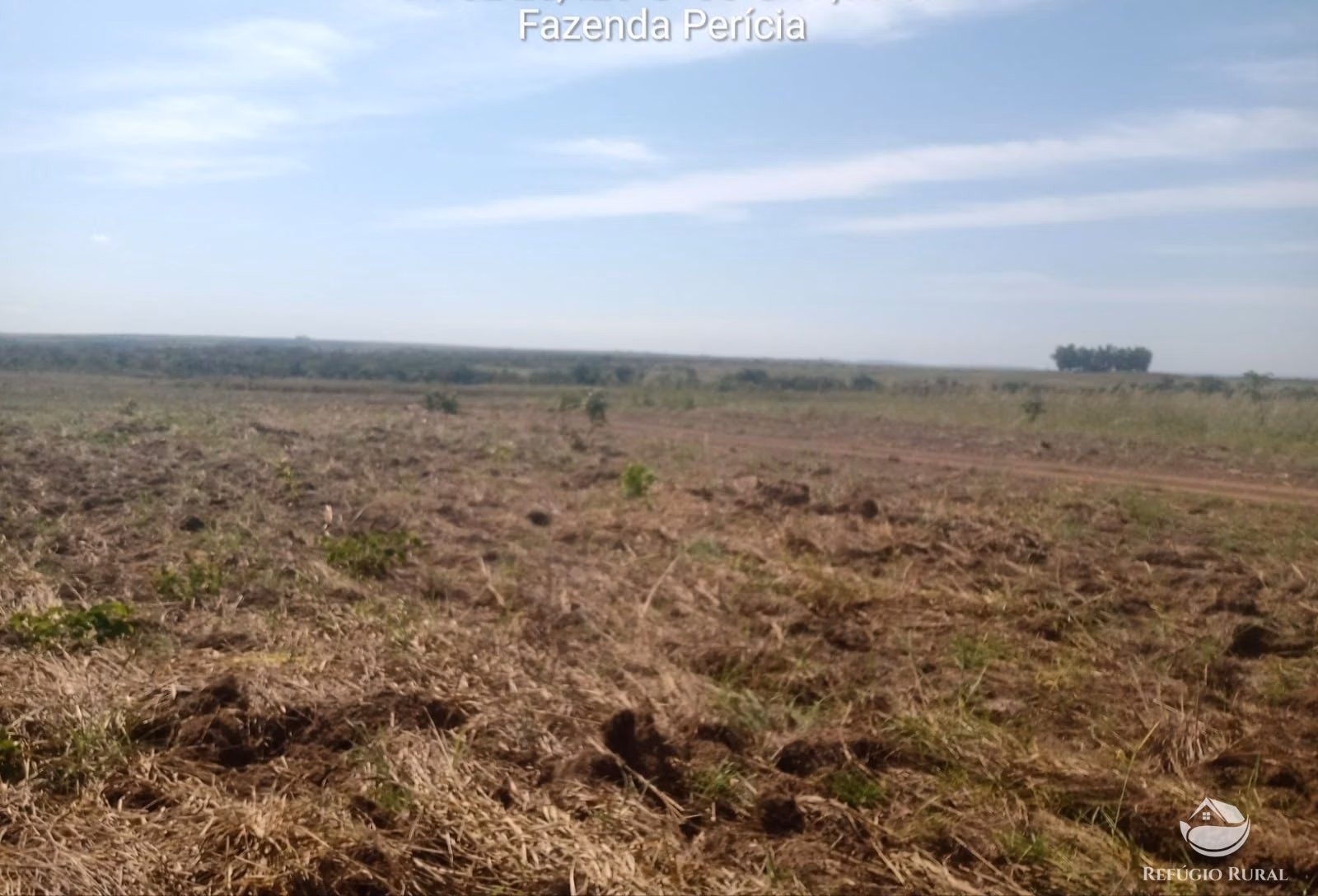 Farm of 9,318 acres in Rosário Oeste, MT, Brazil