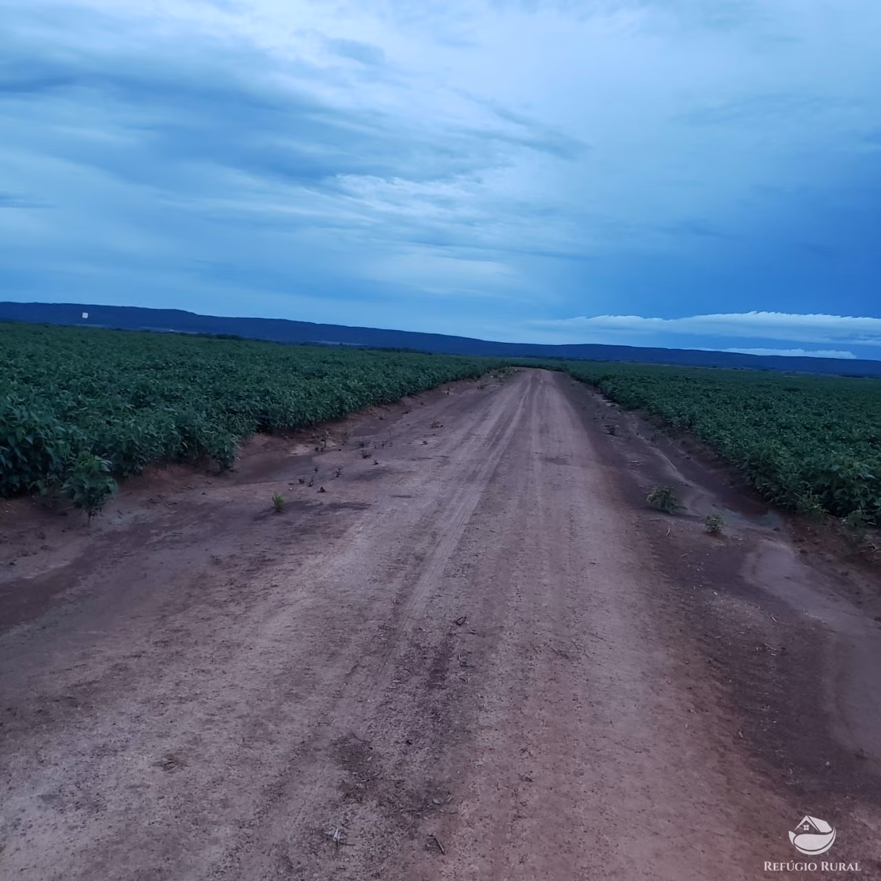 Fazenda de 3.771 ha em Rosário Oeste, MT