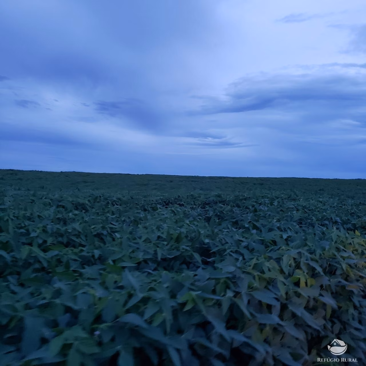 Farm of 9,318 acres in Rosário Oeste, MT, Brazil