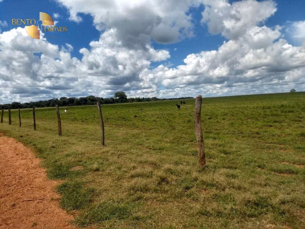 Small farm of 10 acres in Bom Jesus do Araguaia, MT, Brazil