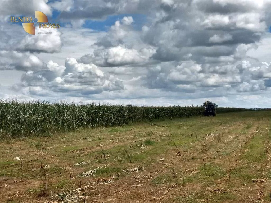 Small farm of 10 acres in Bom Jesus do Araguaia, MT, Brazil