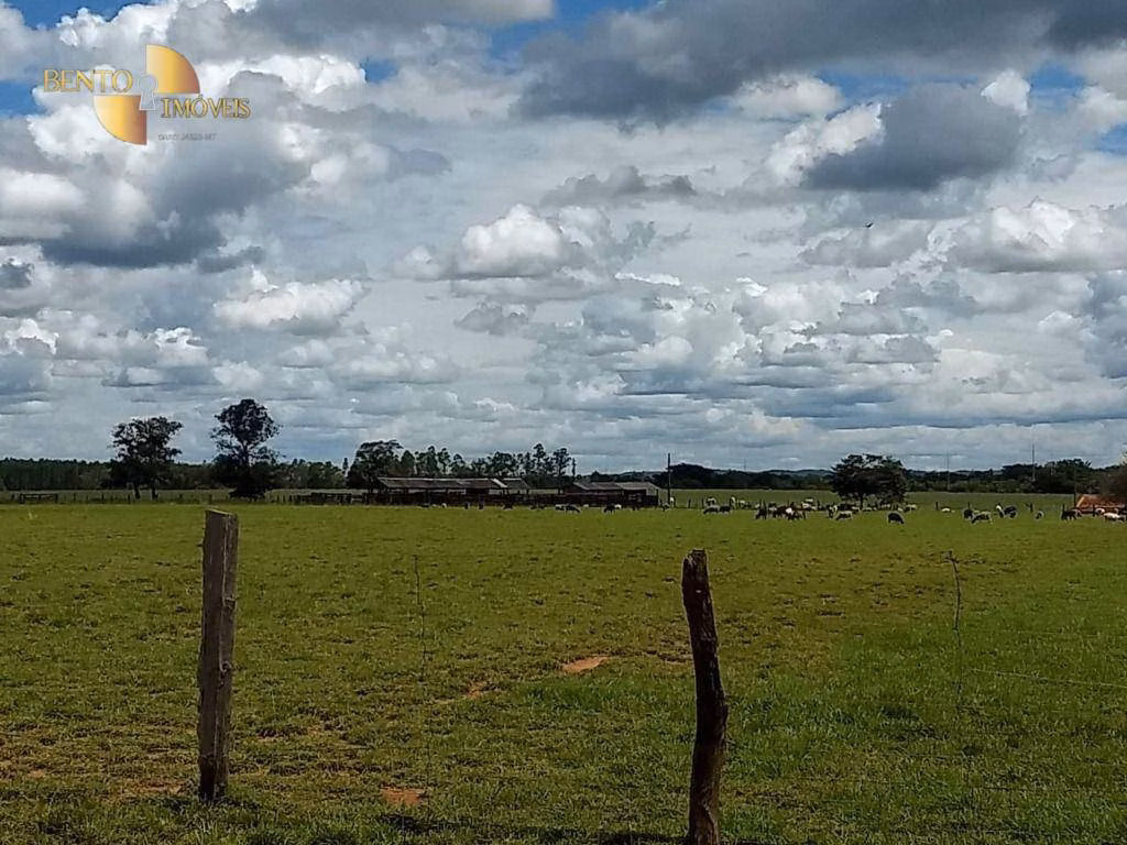 Sítio de 4 ha em Bom Jesus do Araguaia, MT
