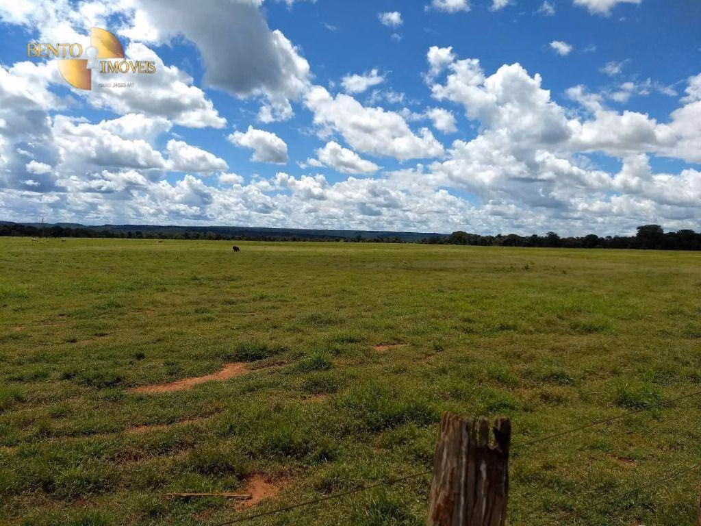 Small farm of 10 acres in Bom Jesus do Araguaia, MT, Brazil