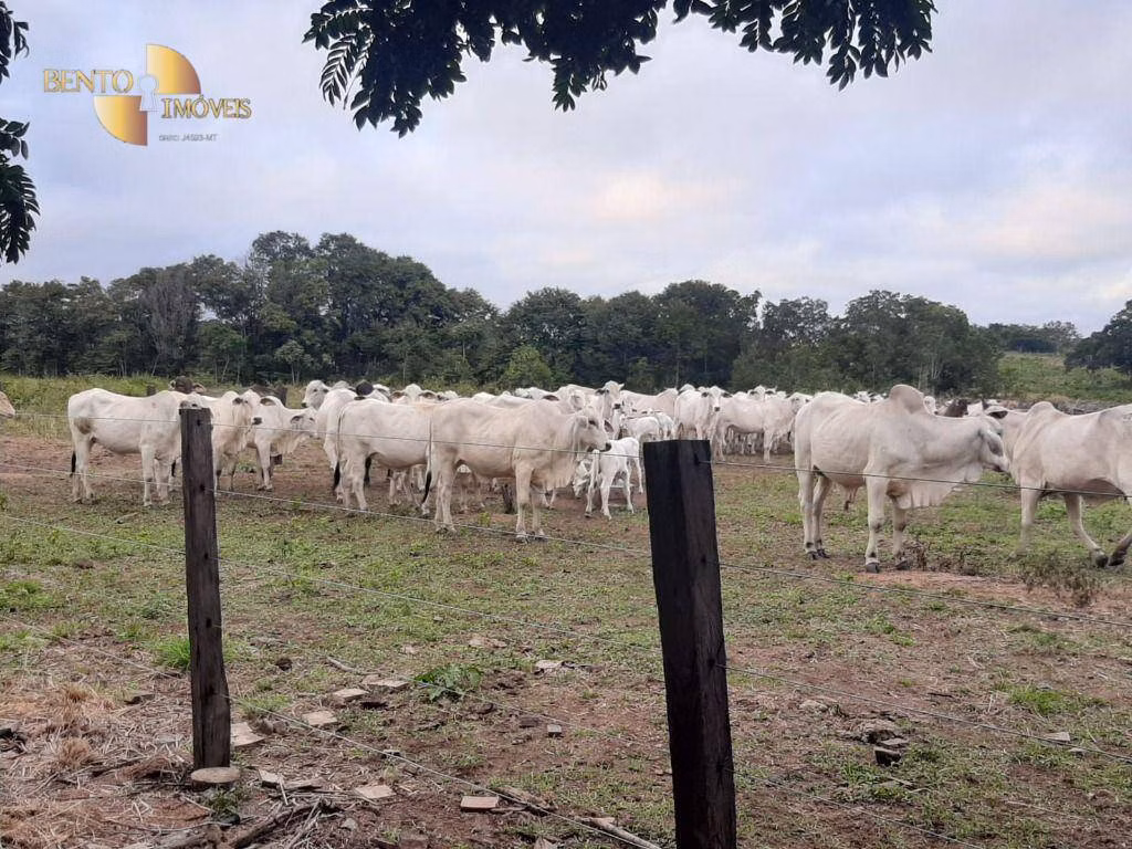 Farm of 803 acres in Rosário Oeste, MT, Brazil