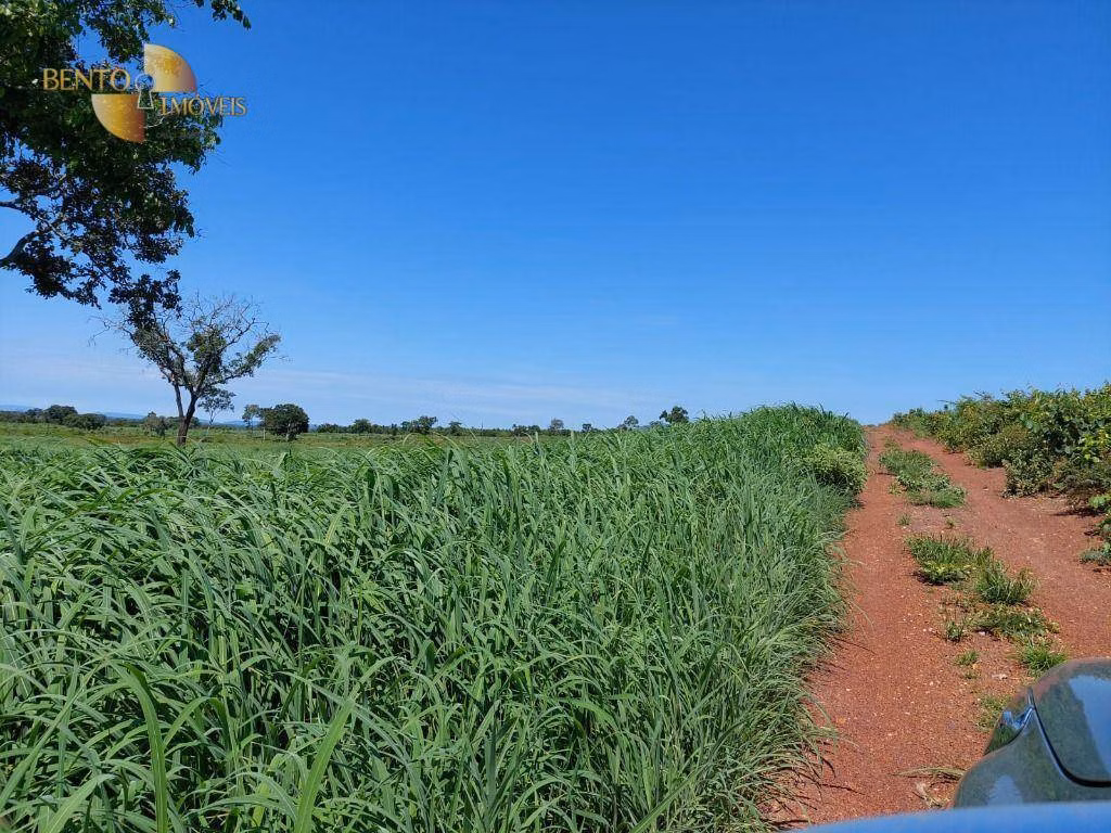 Farm of 803 acres in Rosário Oeste, MT, Brazil