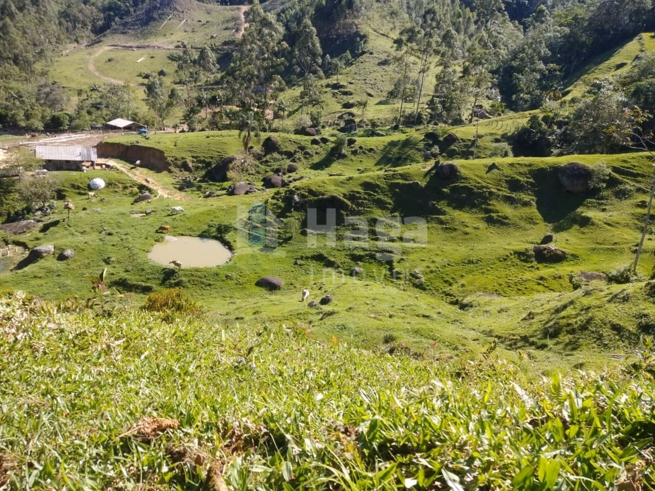 Fazenda de 70 ha em Major Gercino, SC