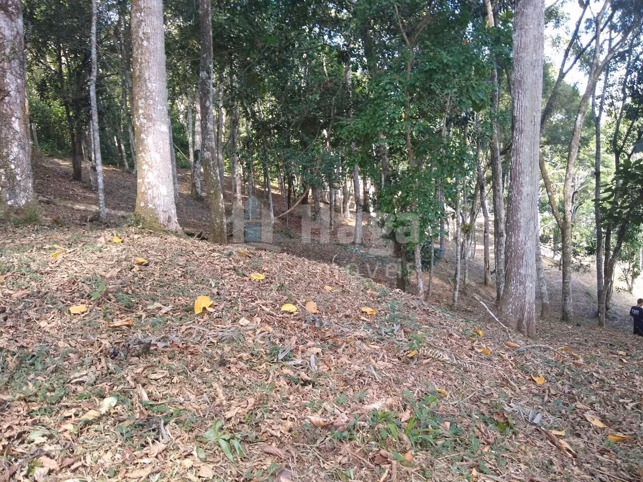 Country home of 4 acres in Itajaí, SC, Brazil