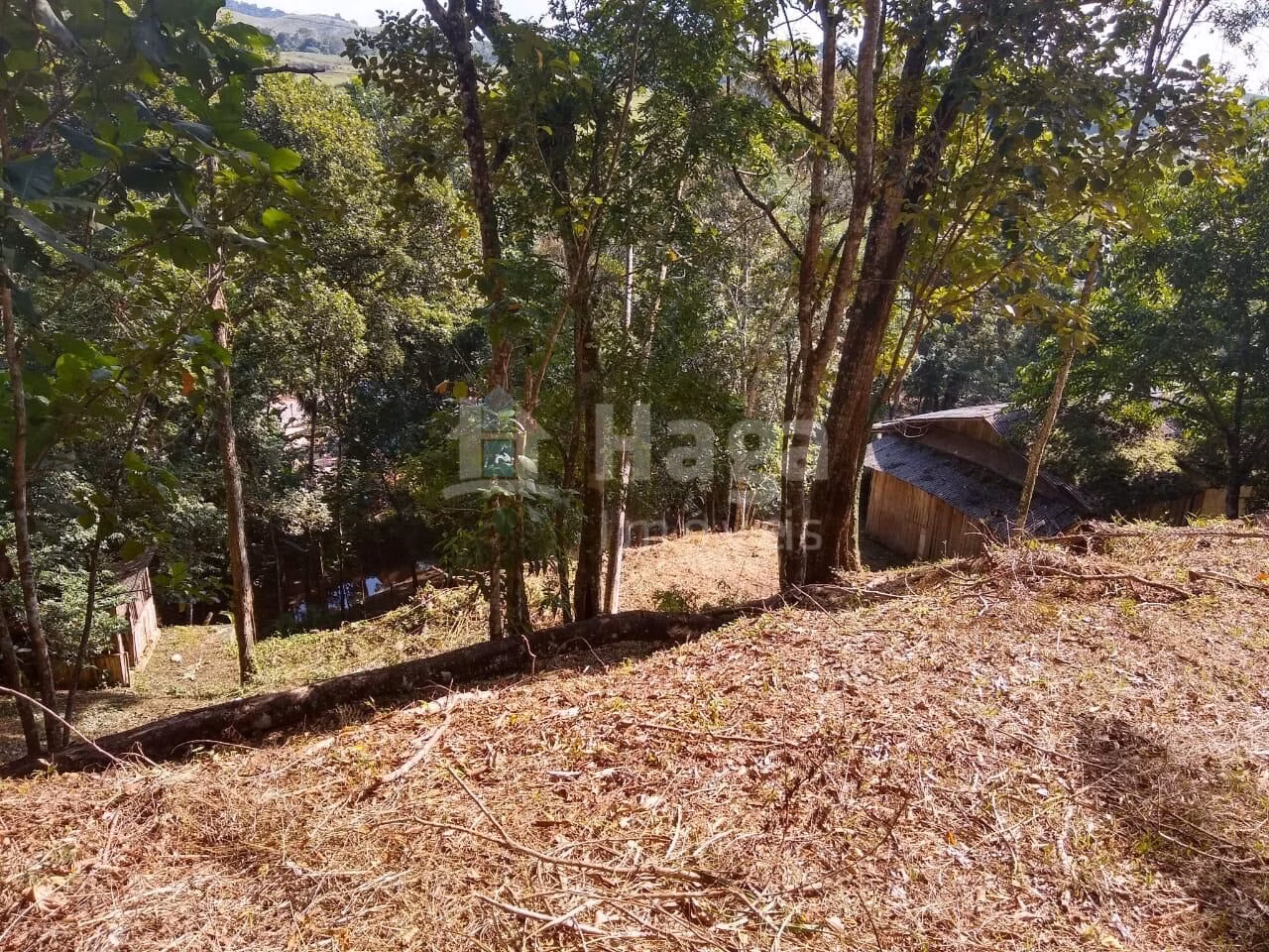 Country home of 4 acres in Itajaí, SC, Brazil