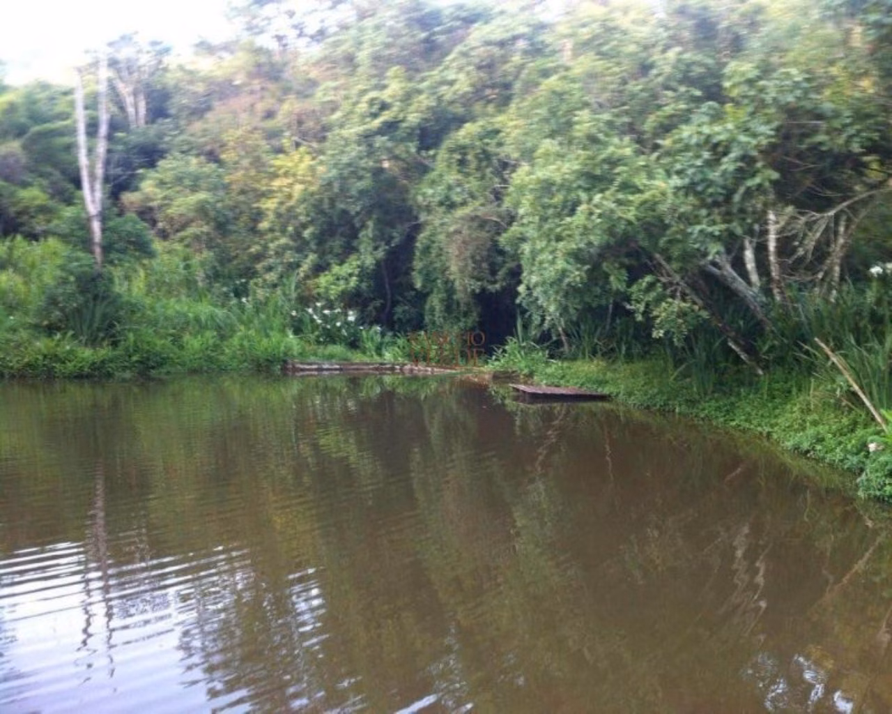 Chácara de 6.000 m² em Sapucaí-Mirim, MG