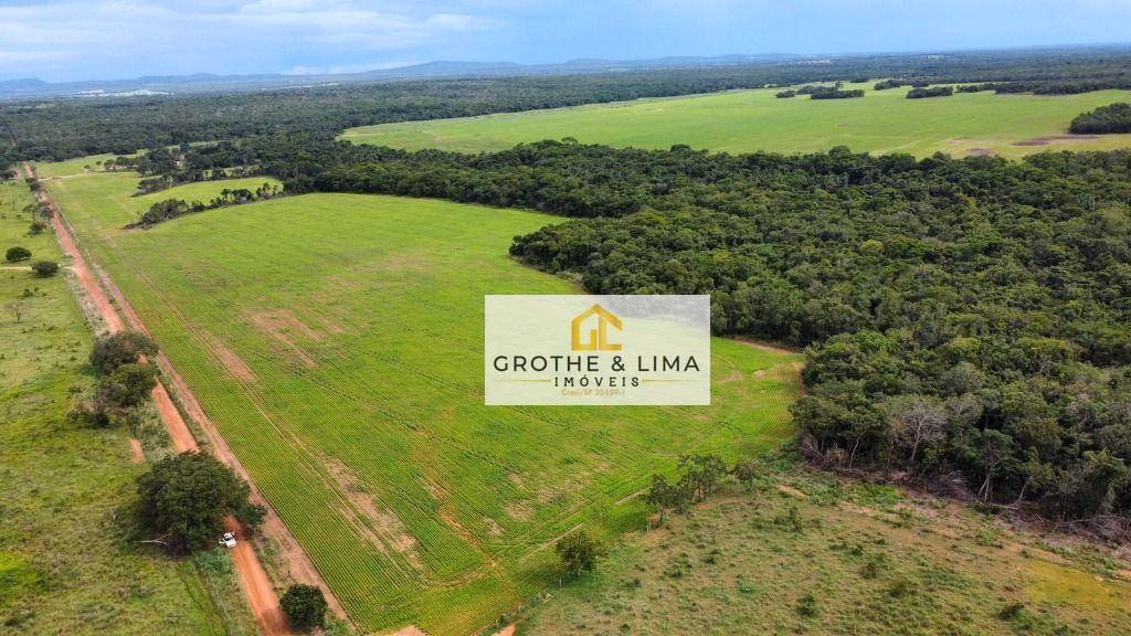 Farm of 1.730 acres in Gurupi, TO, Brazil