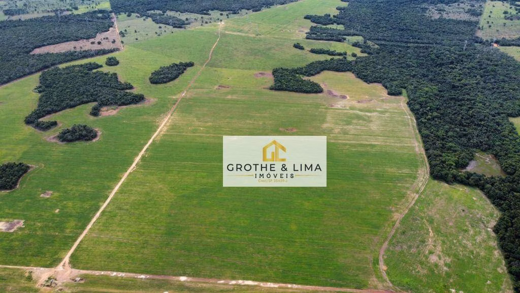 Farm of 1.730 acres in Gurupi, TO, Brazil
