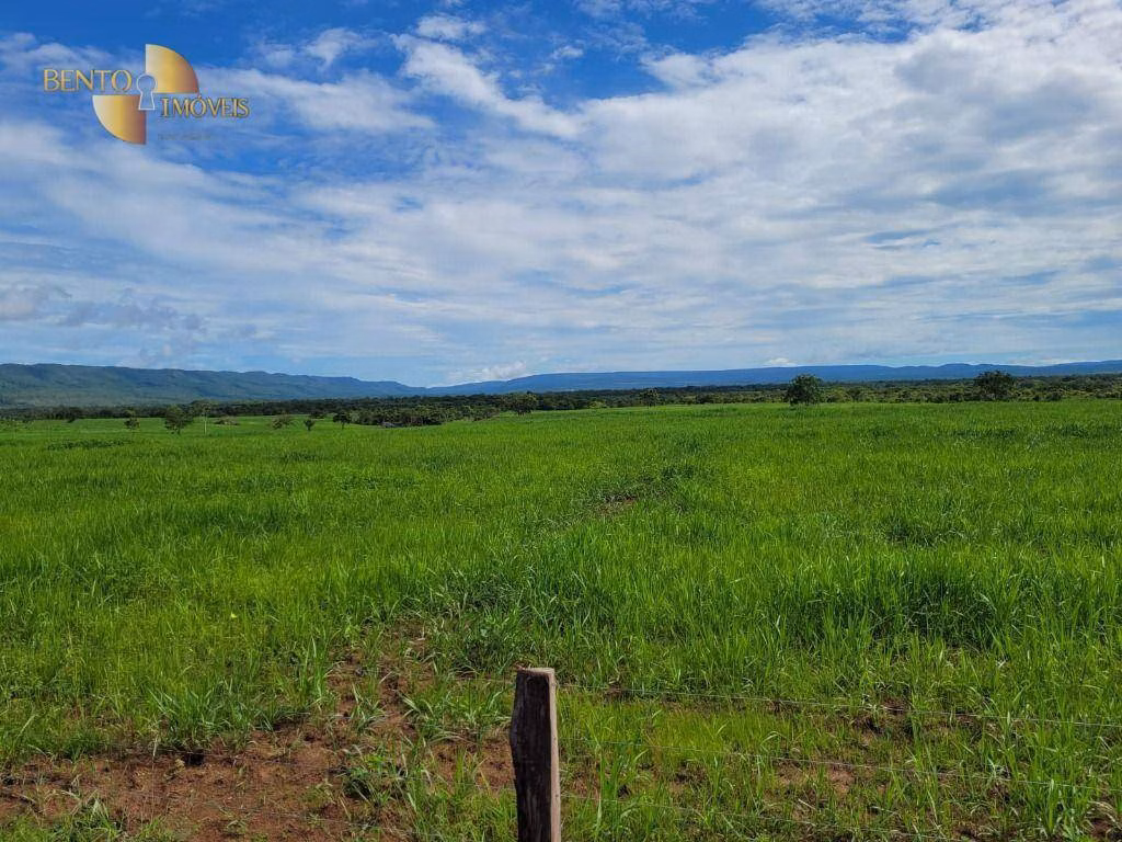 Fazenda de 1.560 ha em Barra do Bugres, MT