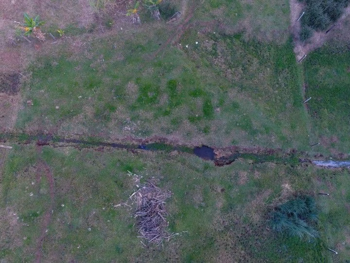 Chácara de 1 ha em Rolante, RS