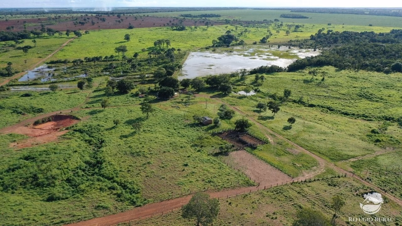 Fazenda de 755 ha em Figueirópolis, TO