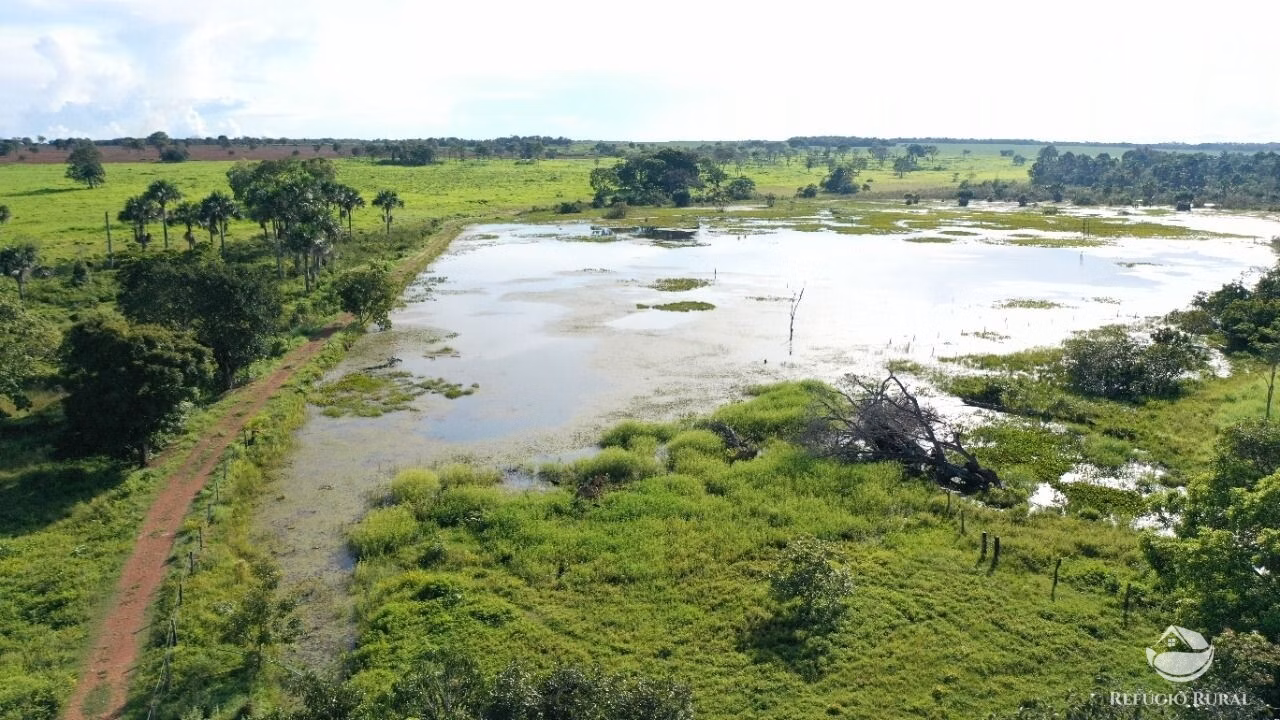 Fazenda de 755 ha em Figueirópolis, TO