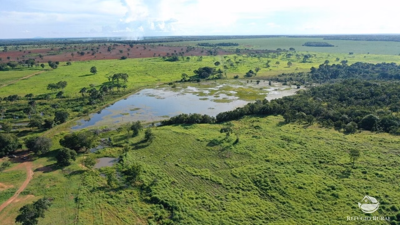 Fazenda de 755 ha em Figueirópolis, TO