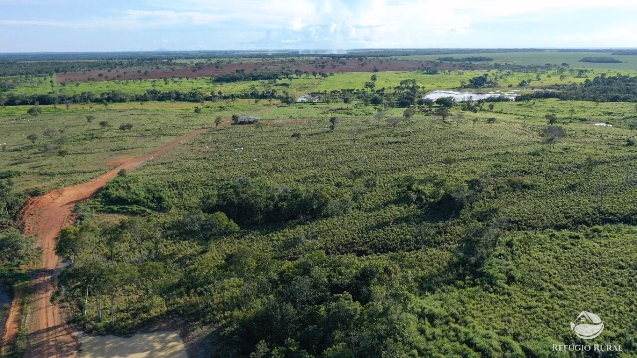 Fazenda de 755 ha em Figueirópolis, TO