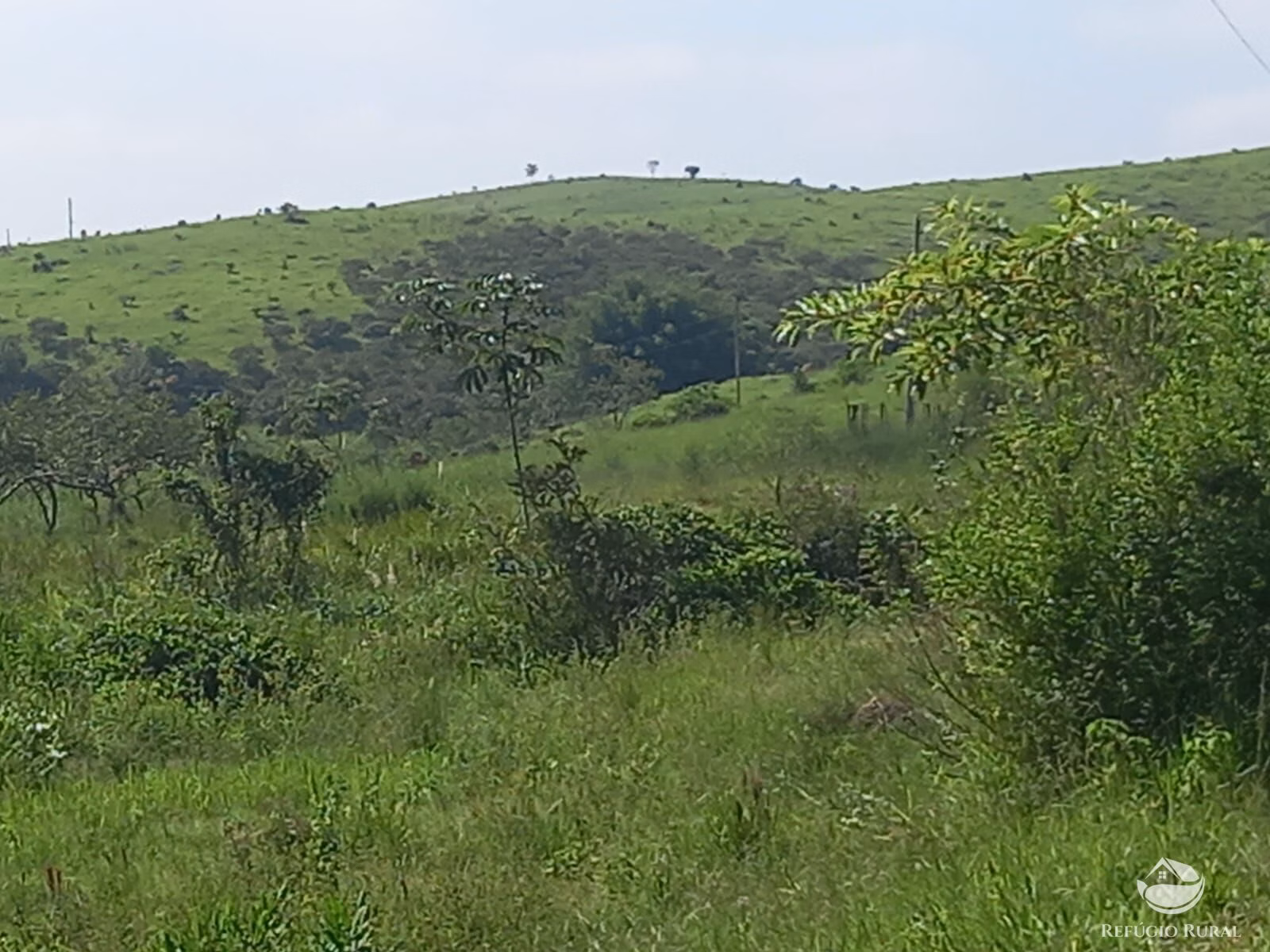 Fazenda de 271 ha em São José dos Campos, SP