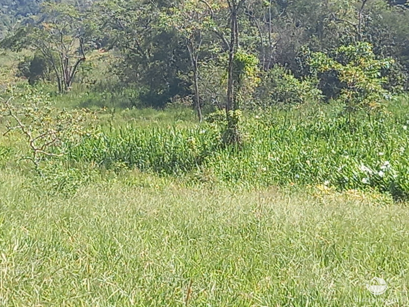Fazenda de 271 ha em São José dos Campos, SP