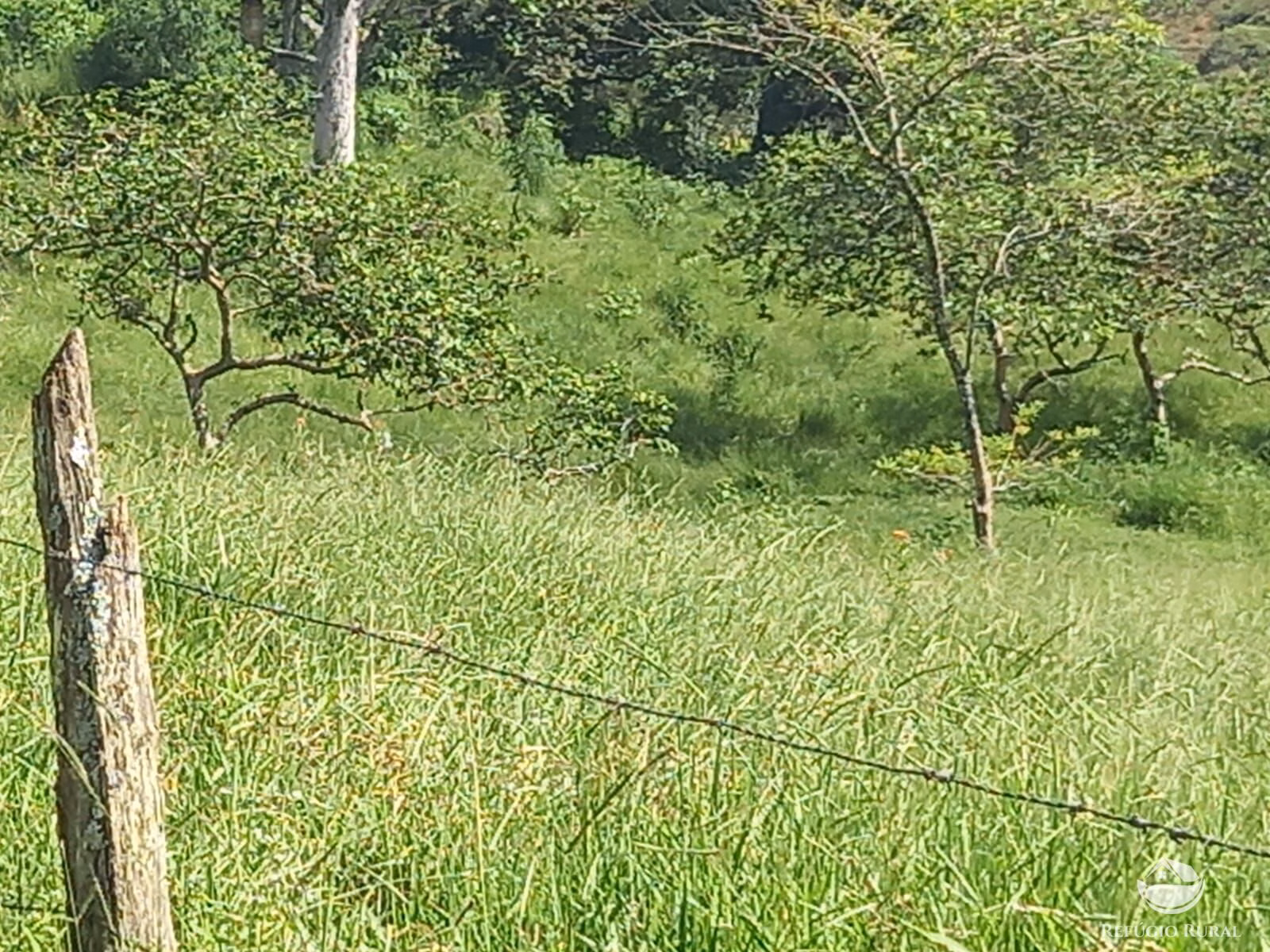 Fazenda de 271 ha em São José dos Campos, SP