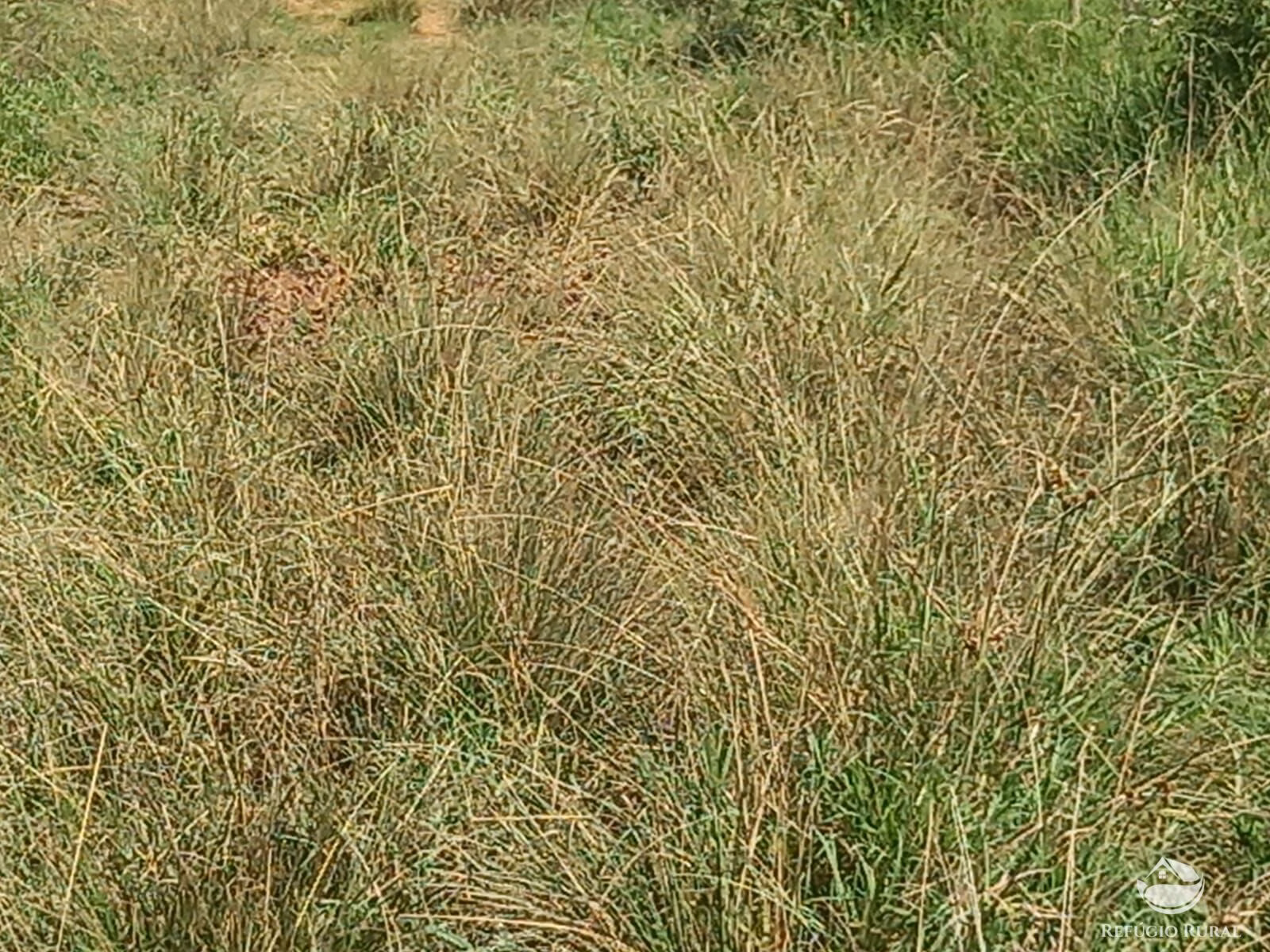 Fazenda de 271 ha em São José dos Campos, SP