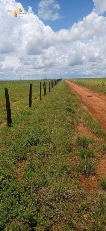 Fazenda de 755 ha em Diamantino, MT
