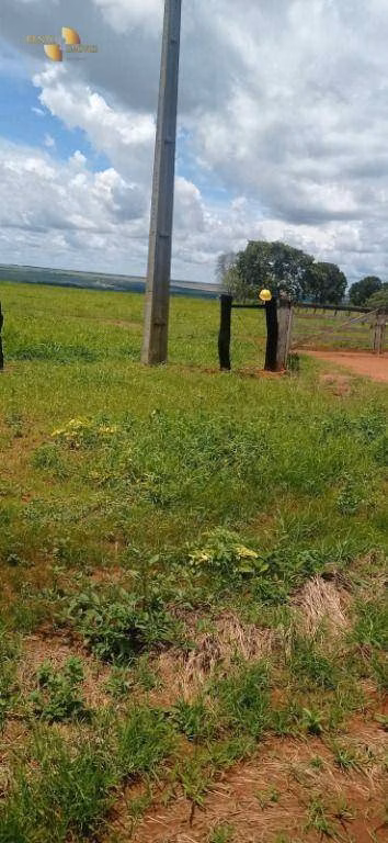 Fazenda de 755 ha em Diamantino, MT