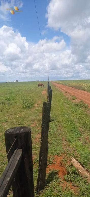 Fazenda de 755 ha em Diamantino, MT