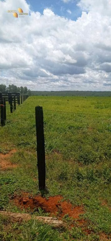 Fazenda de 755 ha em Diamantino, MT