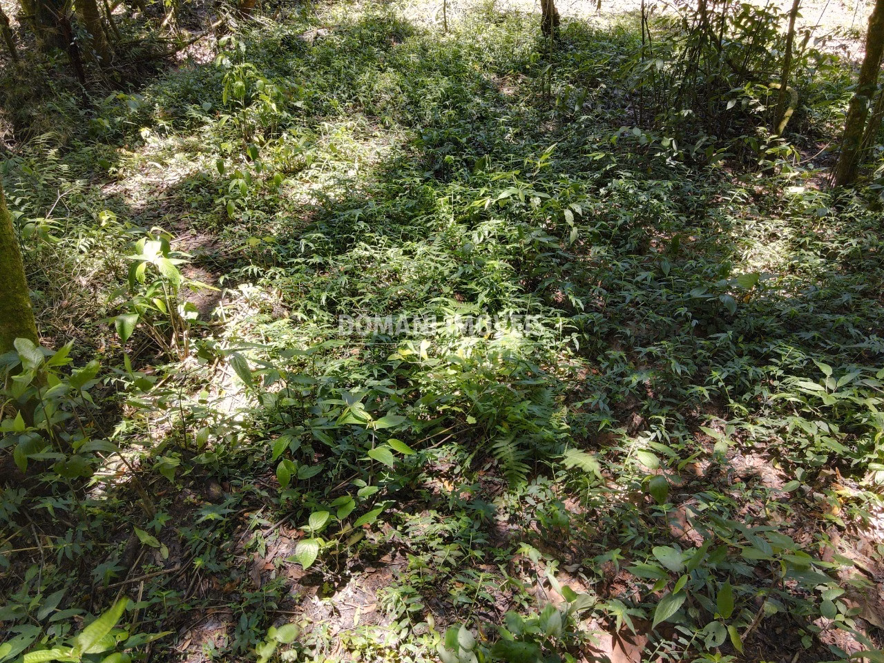 Terreno de 970 m² em Campos do Jordão, SP