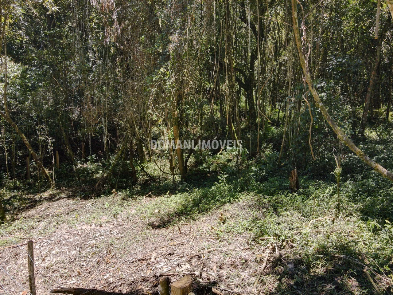 Terreno de 970 m² em Campos do Jordão, SP