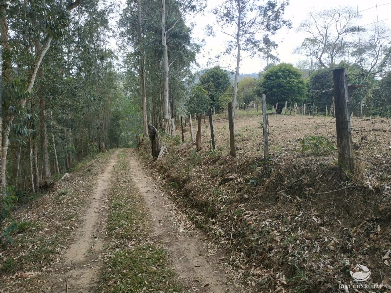 Sítio de 26 ha em Monteiro Lobato, SP