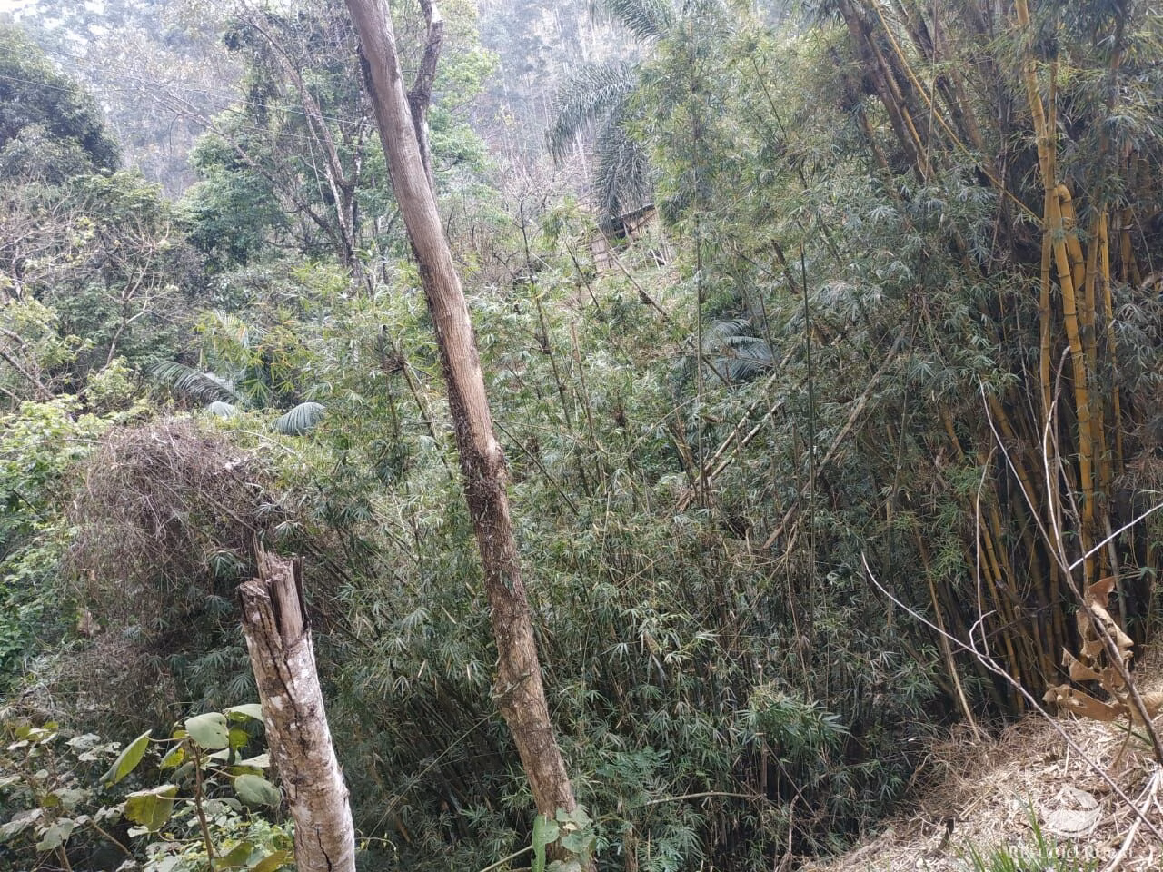 Sítio de 26 ha em Monteiro Lobato, SP