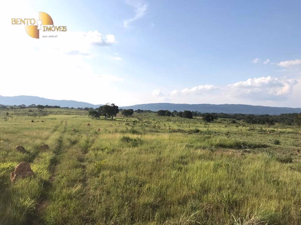 Fazenda de 350 ha em Rosário Oeste, MT