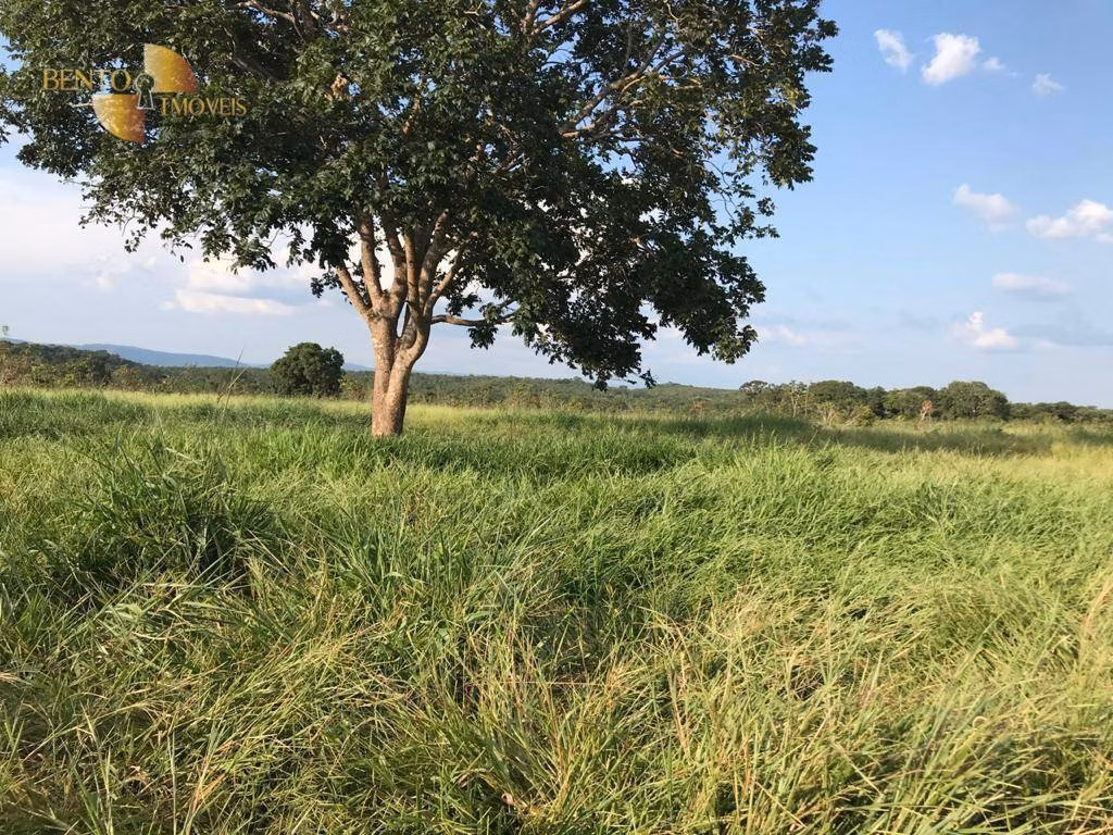Fazenda de 350 ha em Rosário Oeste, MT