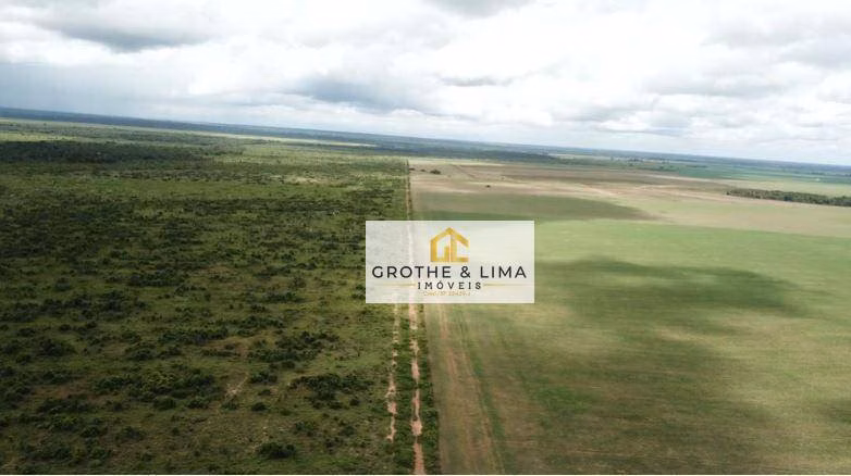 Fazenda de 20.000 ha em Santa Terezinha, MT