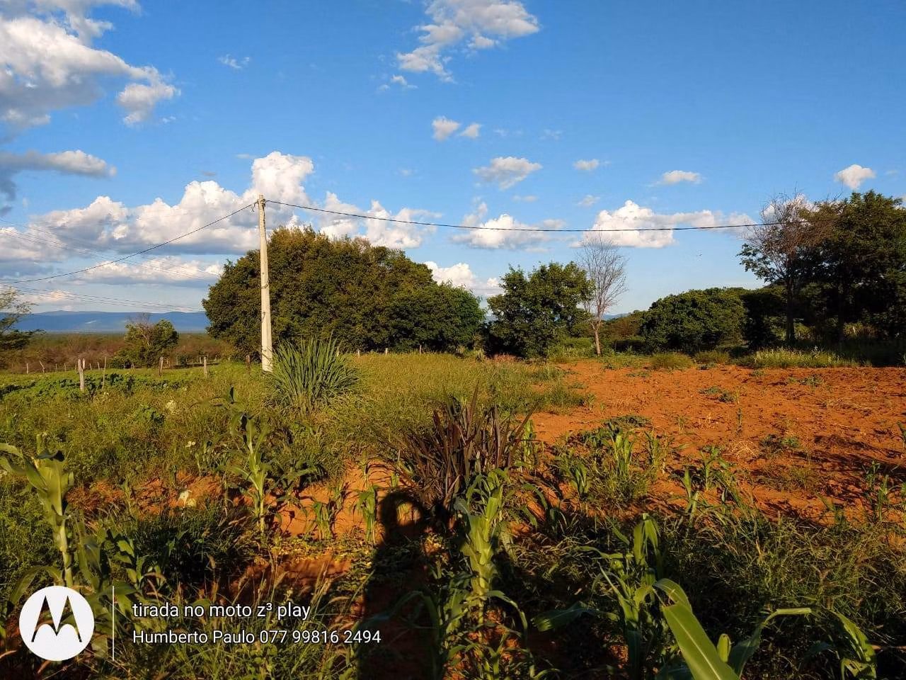 Fazenda de 580 ha em Oliveira dos Brejinhos, BA