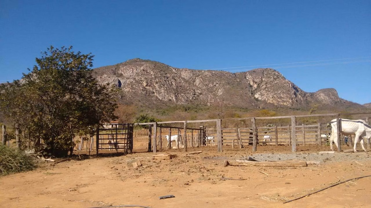 Fazenda de 580 ha em Oliveira dos Brejinhos, BA