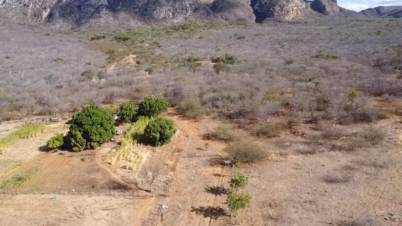Fazenda de 580 ha em Oliveira dos Brejinhos, BA