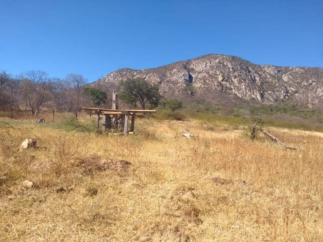 Fazenda de 580 ha em Oliveira dos Brejinhos, BA