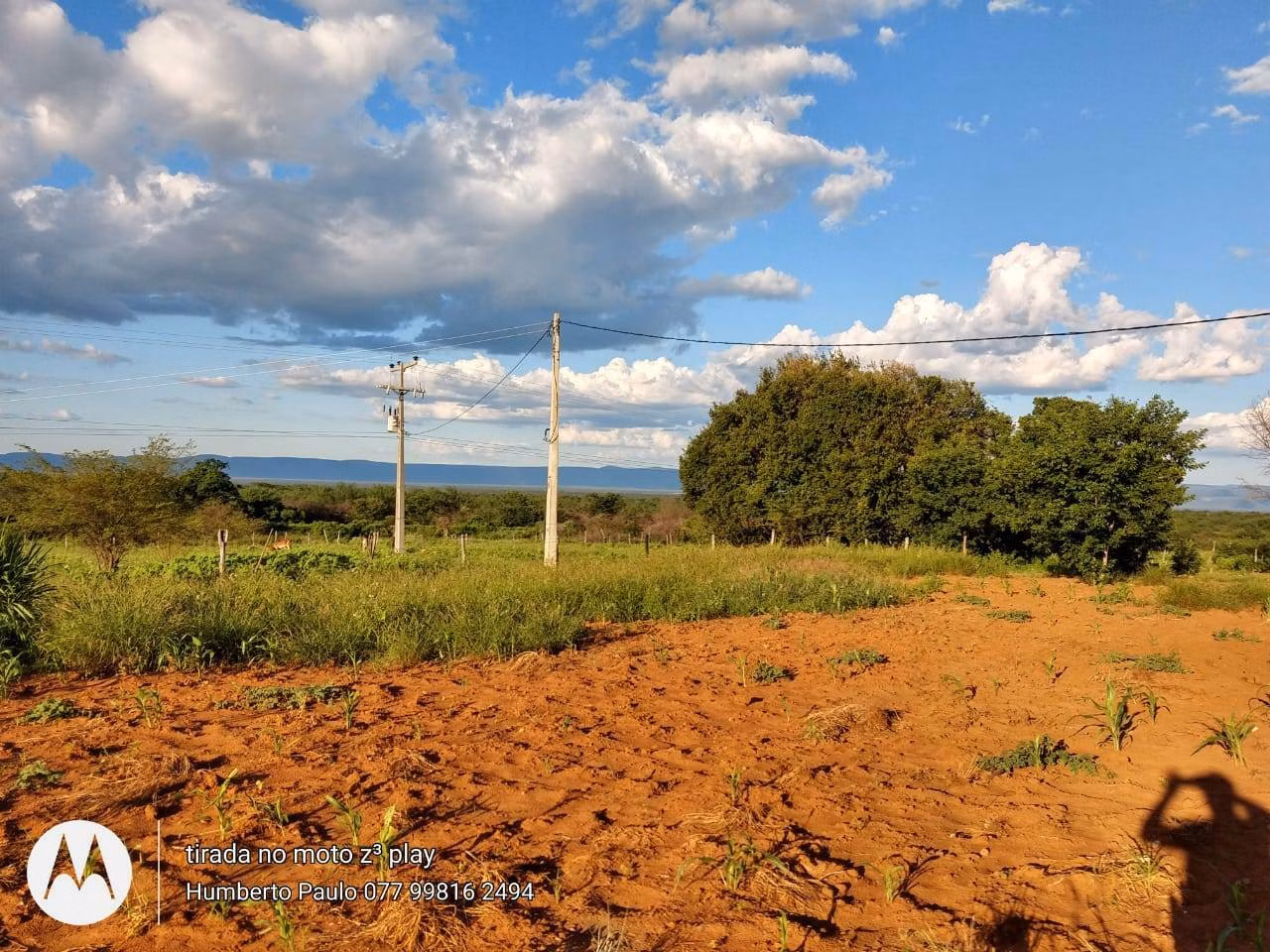 Fazenda de 580 ha em Oliveira dos Brejinhos, BA
