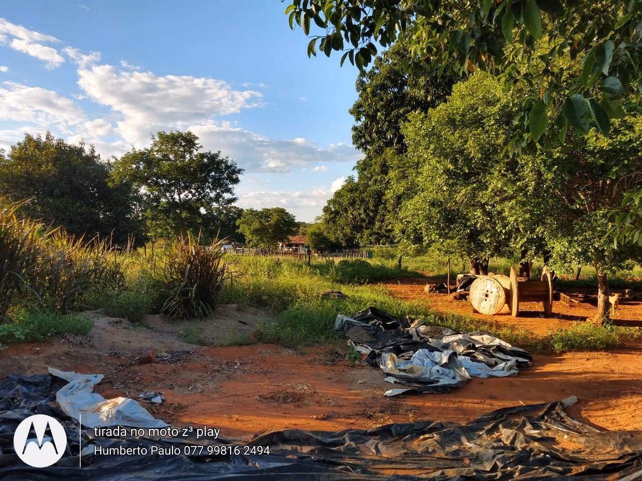 Fazenda de 580 ha em Oliveira dos Brejinhos, BA