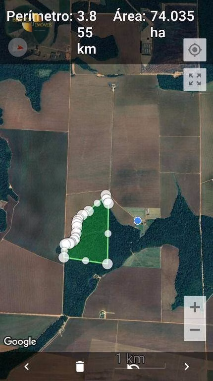 Fazenda de 310 ha em Tapurah, MT