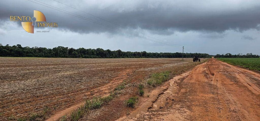 Fazenda de 310 ha em Tapurah, MT