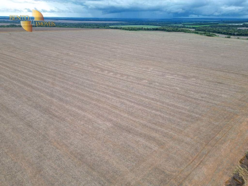 Fazenda de 310 ha em Tapurah, MT