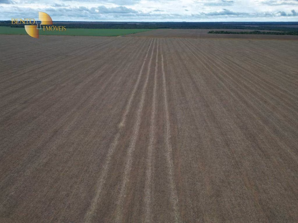 Fazenda de 310 ha em Tapurah, MT