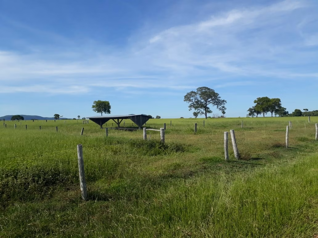 Farm of 1.359 acres in Santo Antônio de Leverger, MT, Brazil