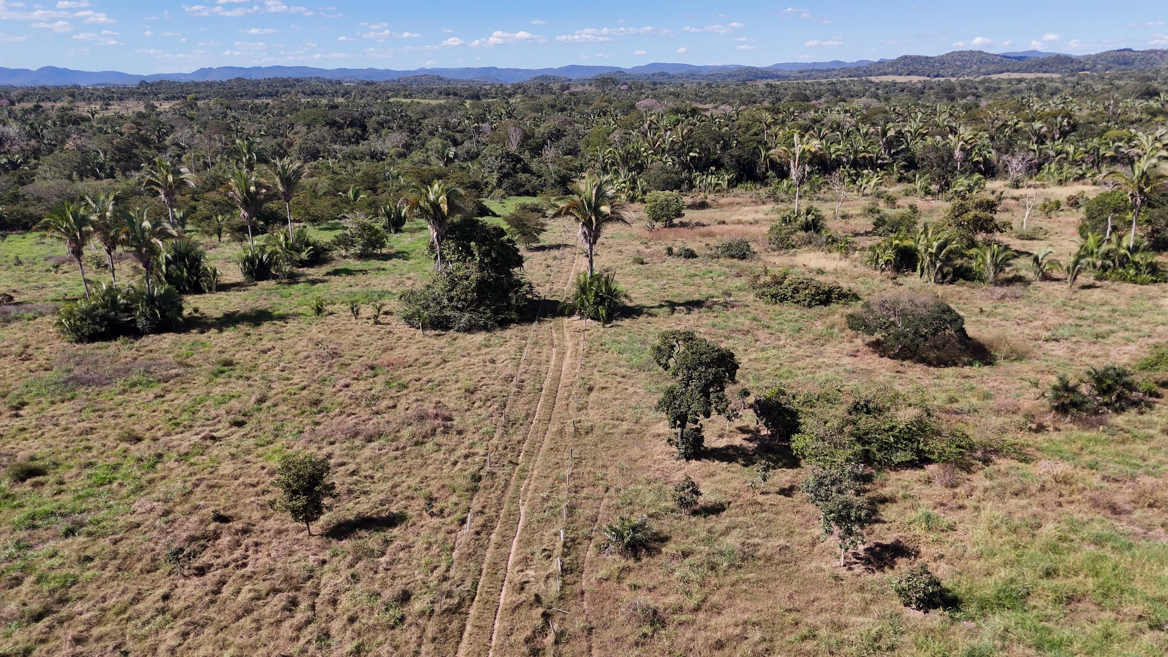 Farm of 1.359 acres in Santo Antônio de Leverger, MT, Brazil